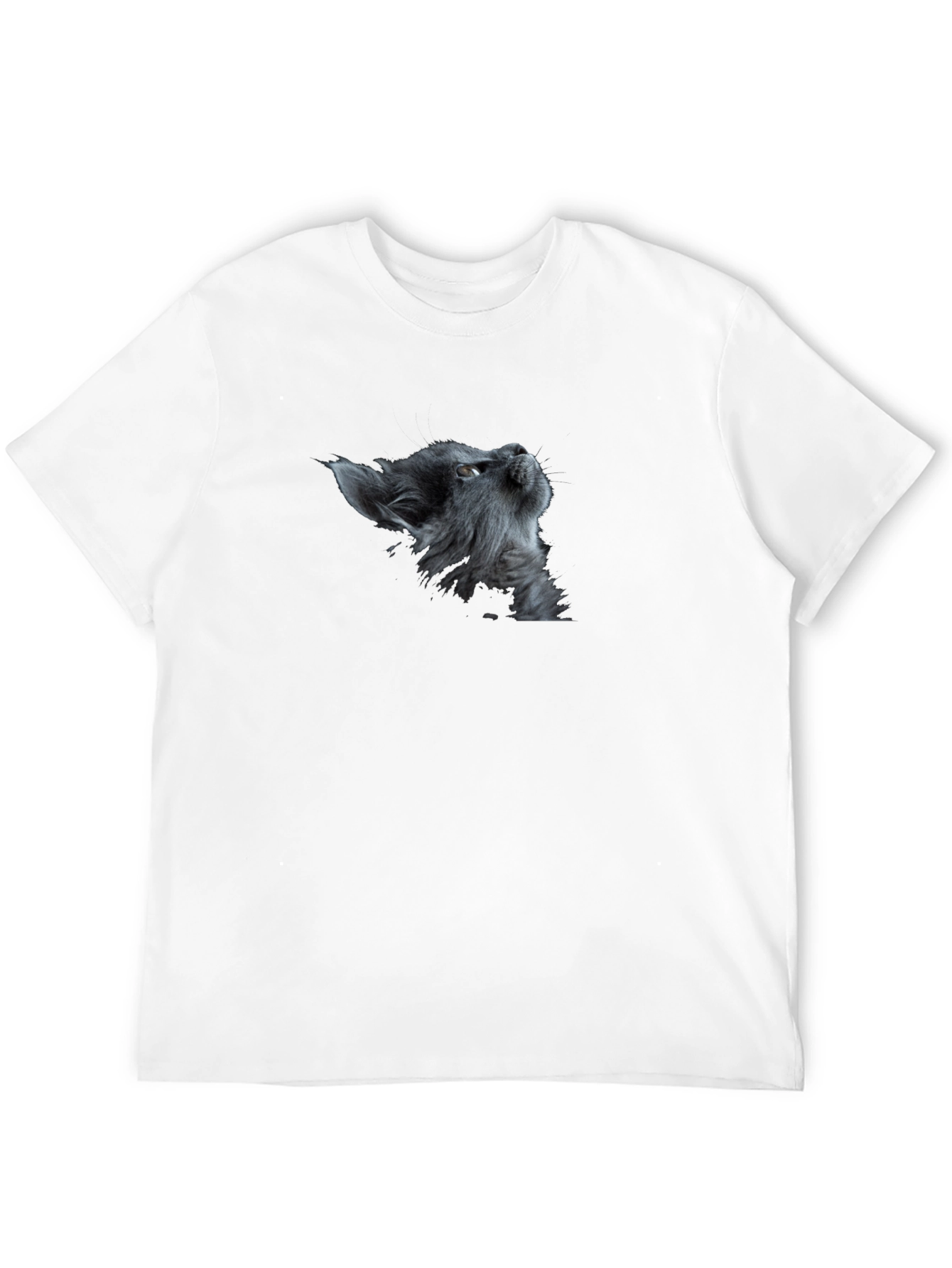 Cat Gaze Graphic Tee - Premium Black Cotton T-Shirt