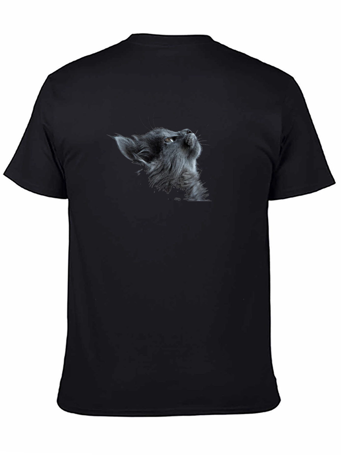 Cat Gaze Graphic Tee - Premium Black Cotton T-Shirt