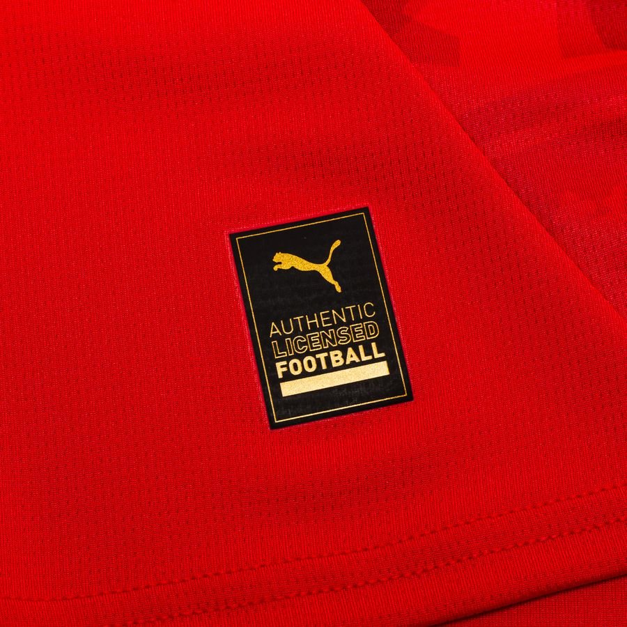 Czech Home Jersey EURO 2024