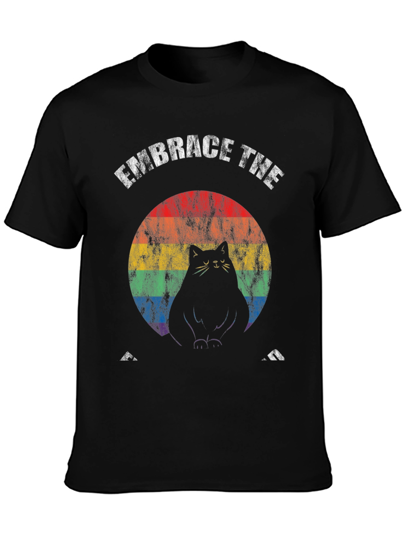 Embrace The Fat Cat Rainbow T-Shirt