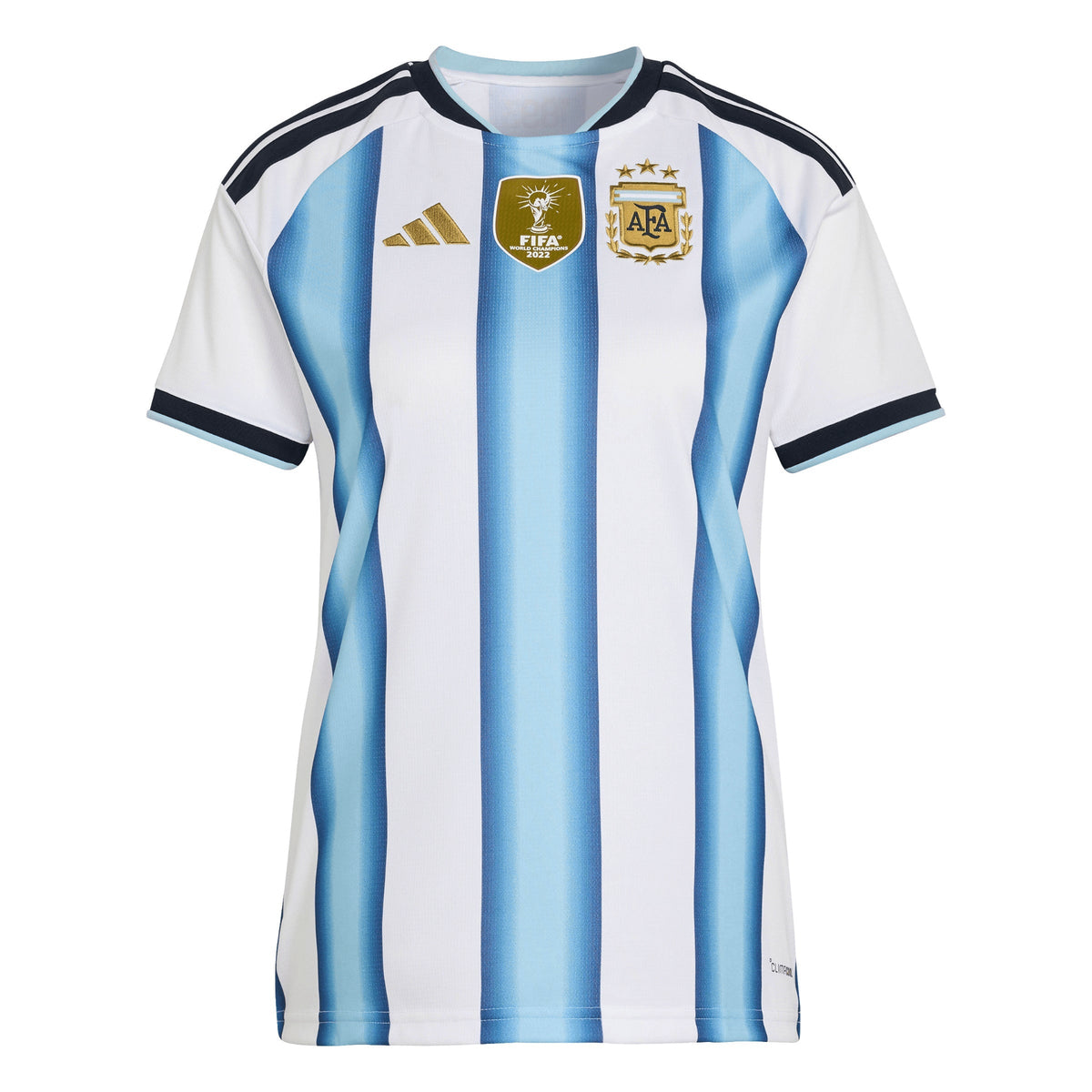 Argentina 2026 Home Jersey - Women's （Custom）