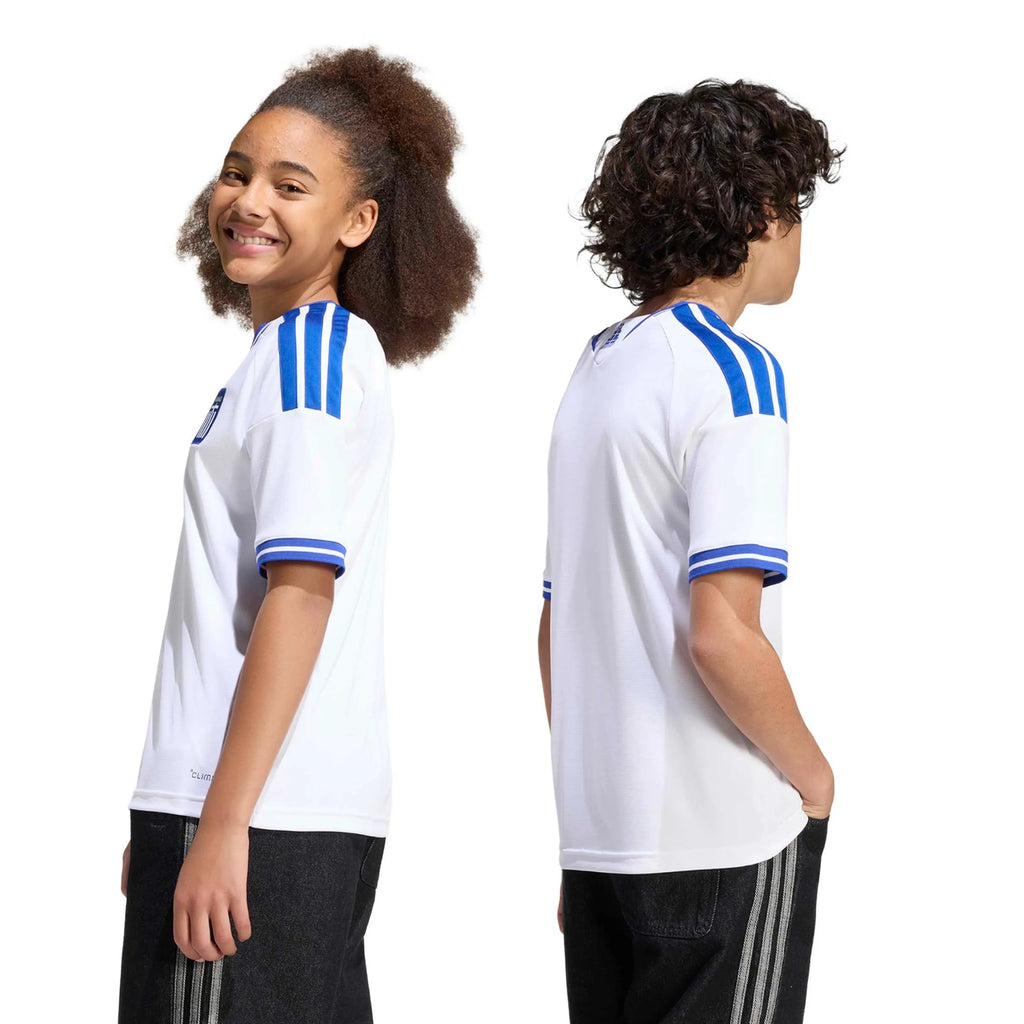 2026 Greece Youth Stadium Home Soccer Jersey (Custom)