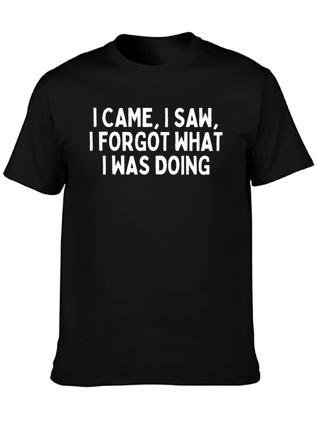 Humorous Graphic Tee - I Came I Saw...