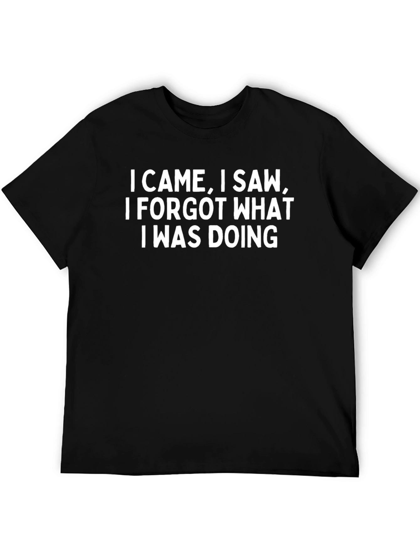 Humorous Graphic Tee - I Came I Saw...