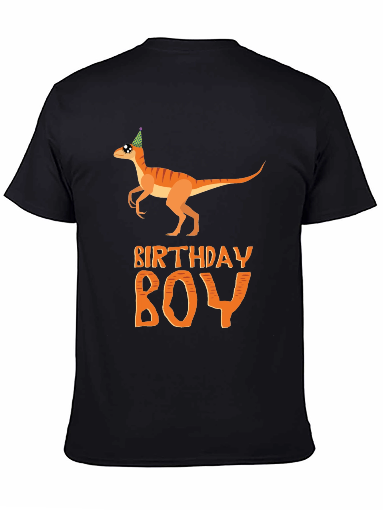 Birthday Boy T-Shirt Dinosaur Party Tee