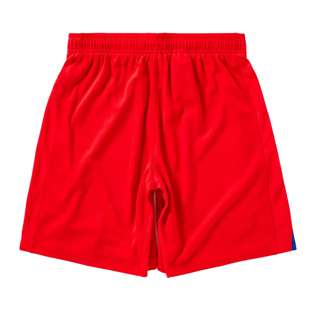 Paris Saint-Germain PSG Third Soccer Shorts 2025/26