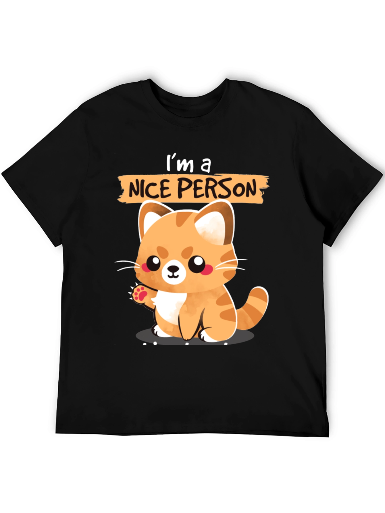 Cute Cat Lover T-Shirt - Im a Nice Person