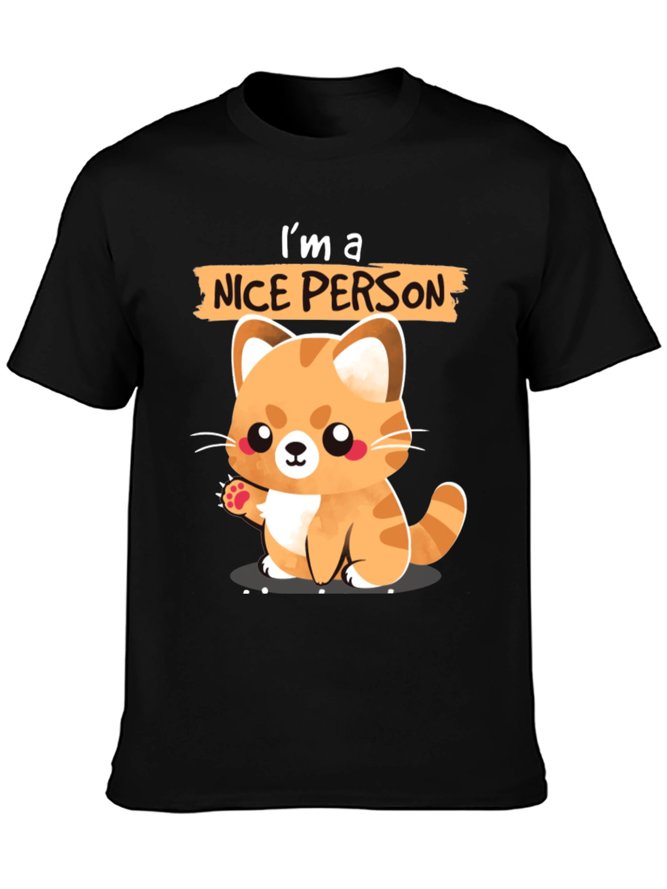 Cute Cat Lover T-Shirt - Im a Nice Person