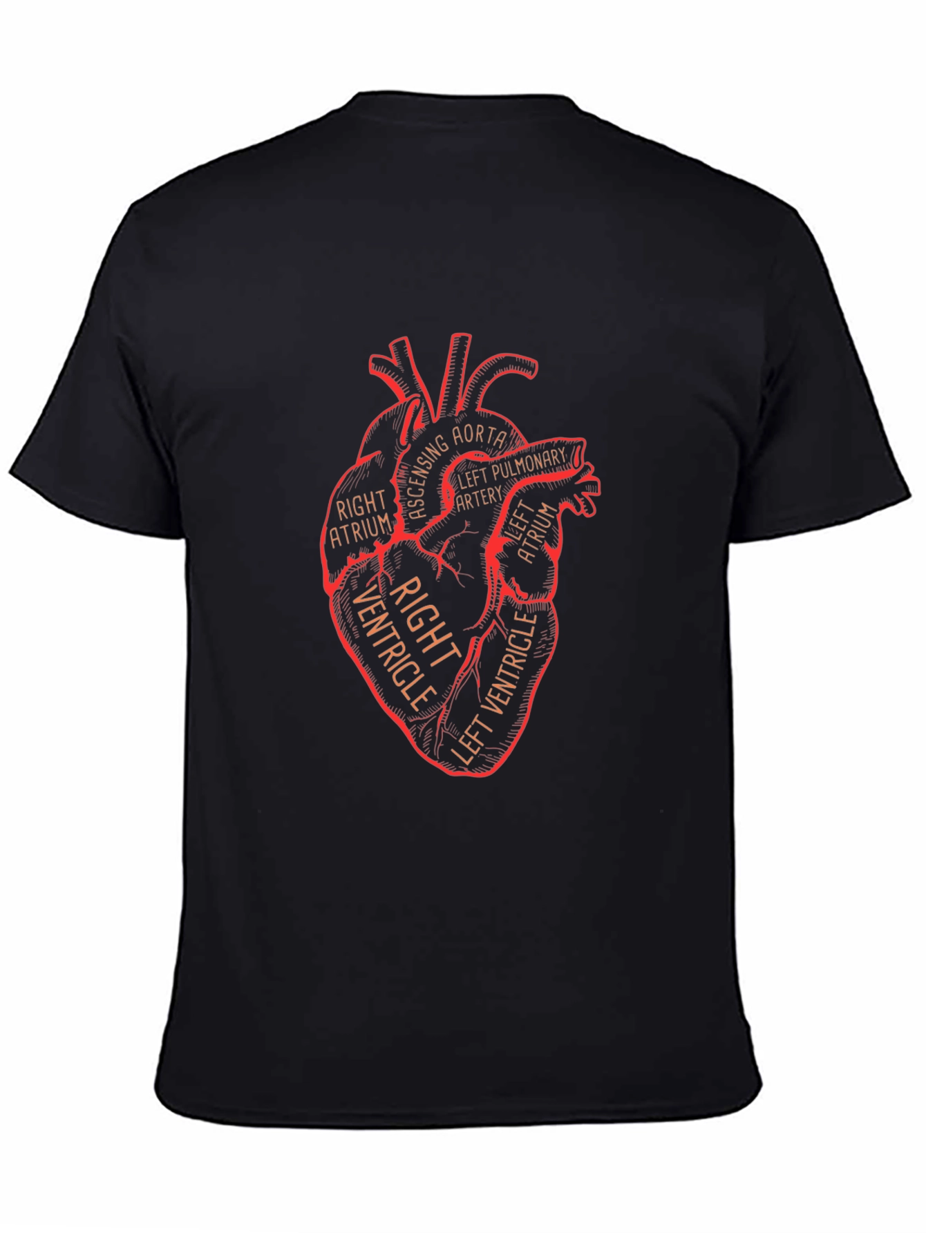 Anatomical Heart Graphic T-Shirt - Black