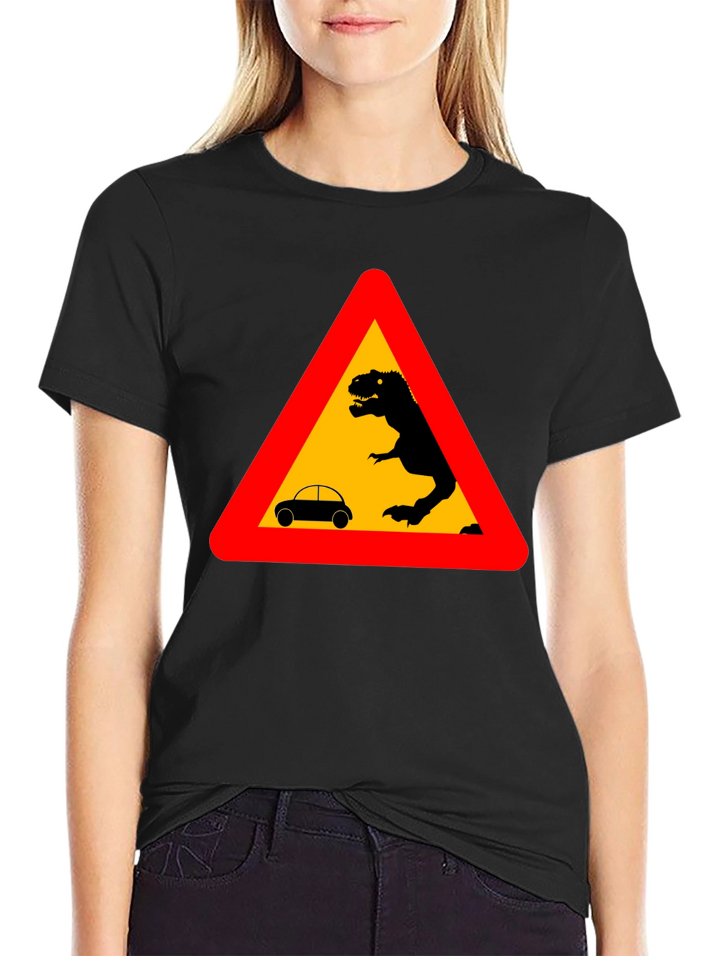 Dinosaur Warning T-Shirt - Black Novelty Tee