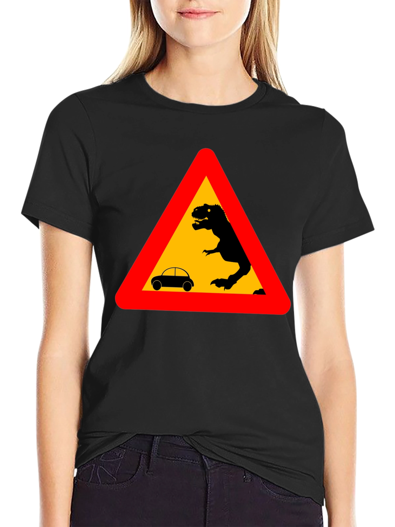 Dinosaur Warning T-Shirt - Black Novelty Tee