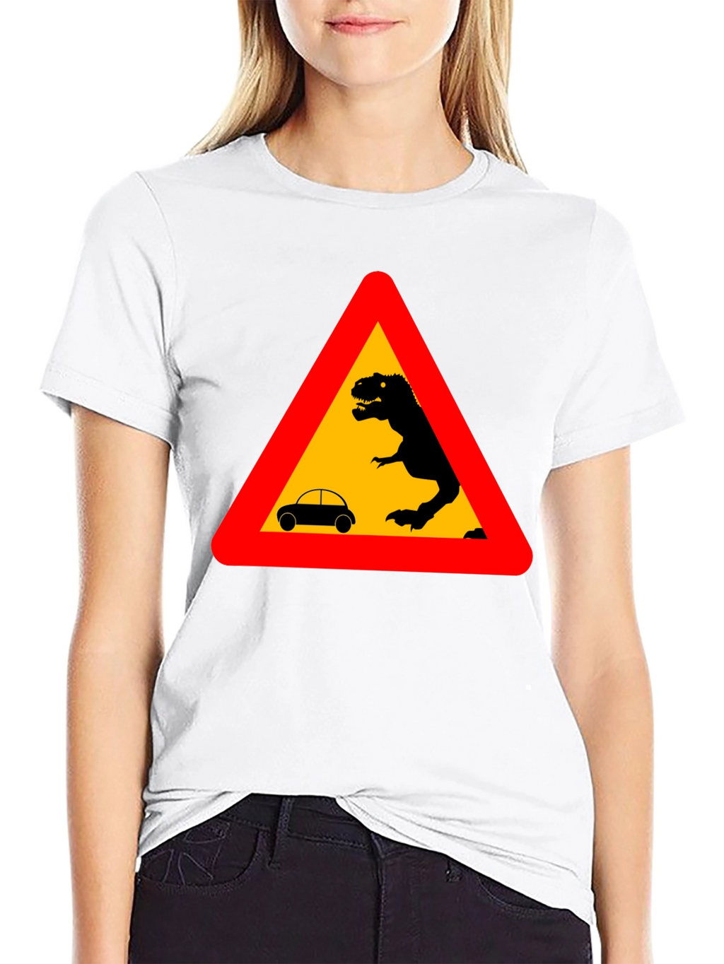 Dinosaur Warning T-Shirt - Black Novelty Tee