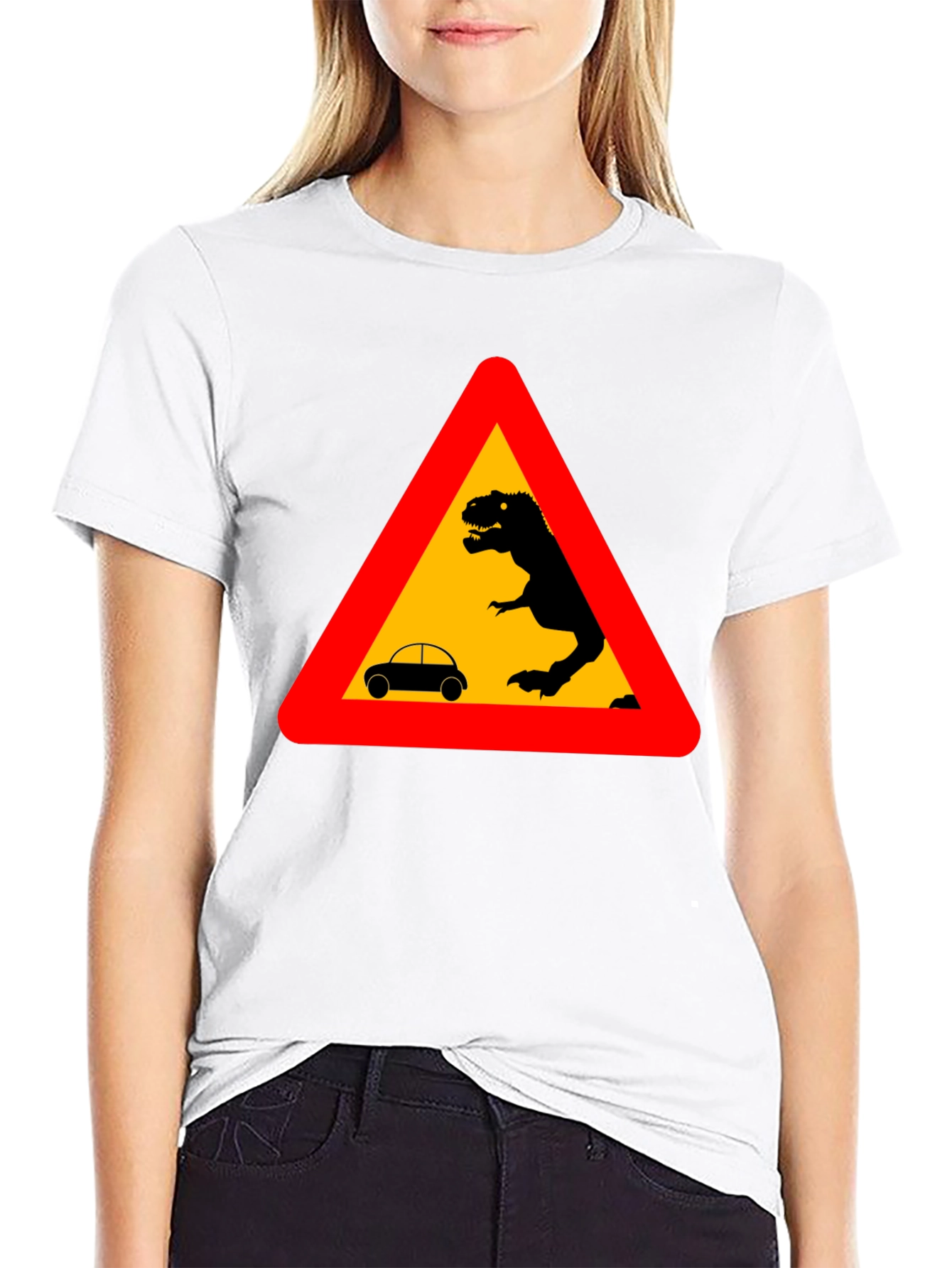 Dinosaur Warning T-Shirt - Black Novelty Tee