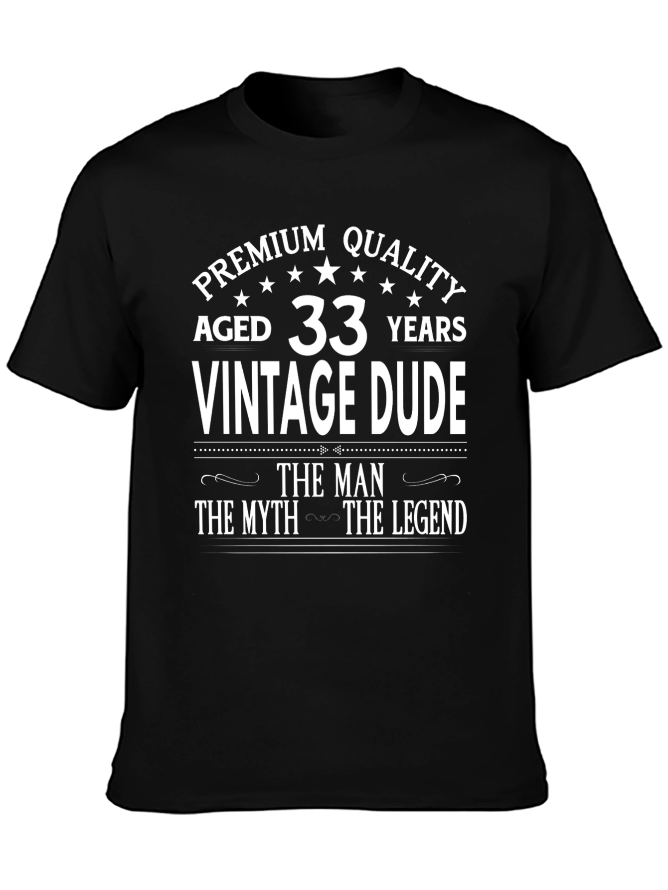 Aged 33 Years Vintage Dude T-Shirt