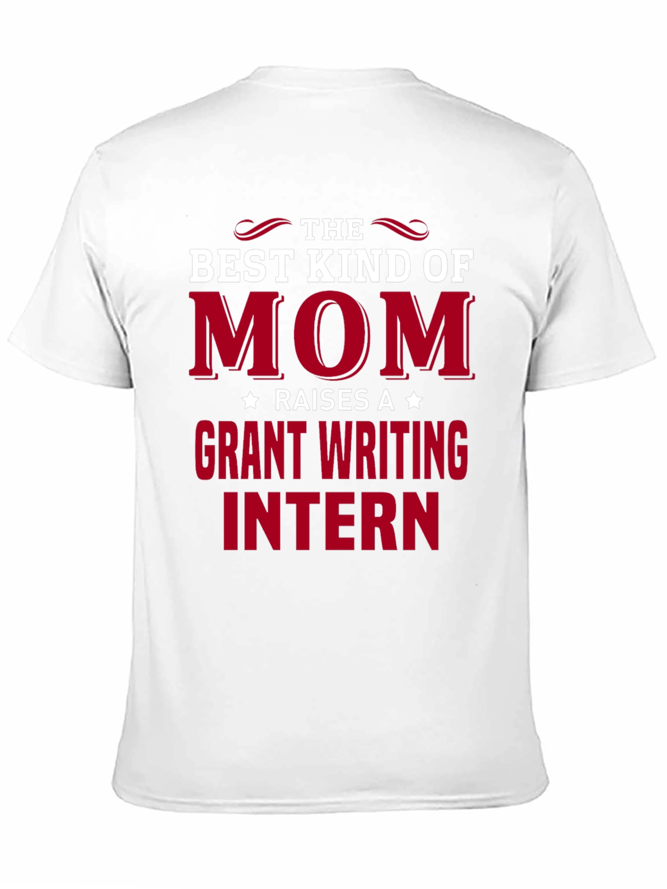 Best Mom Raises Grant Writing Intern T-Shirt