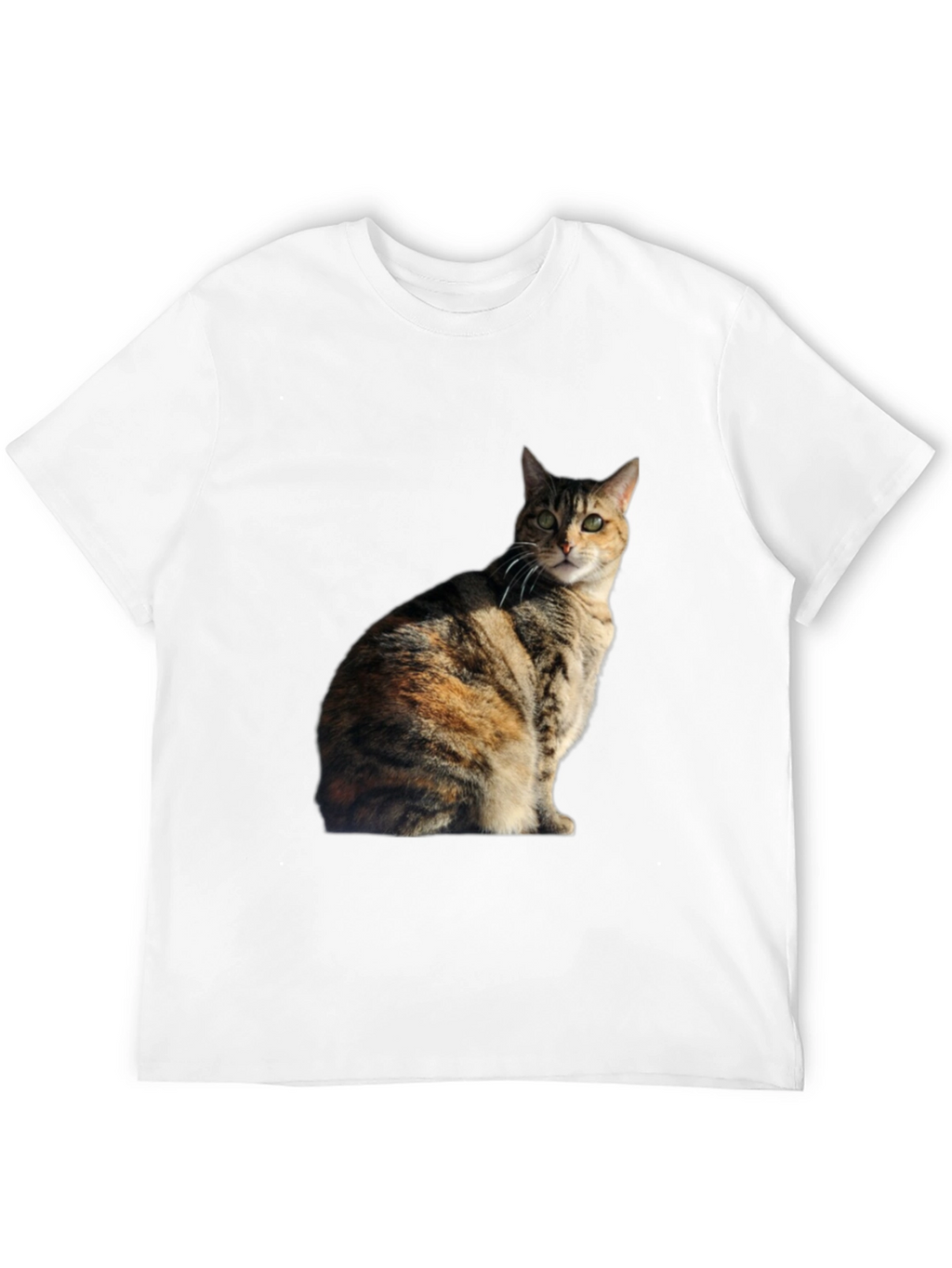 Cat Graphic Black T-Shirt - Unique Design