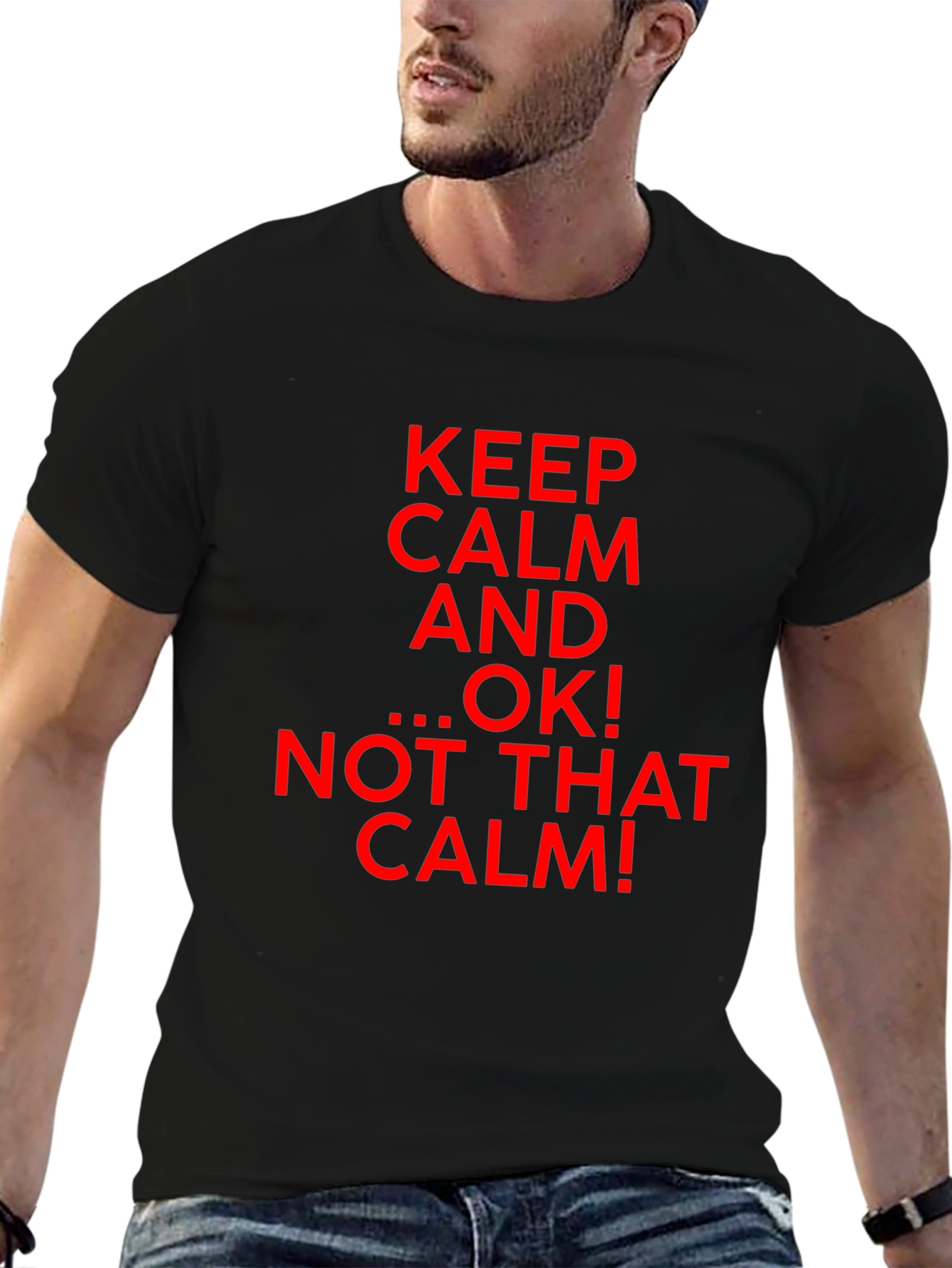 Keep Calm Parody Graphic T-Shirt