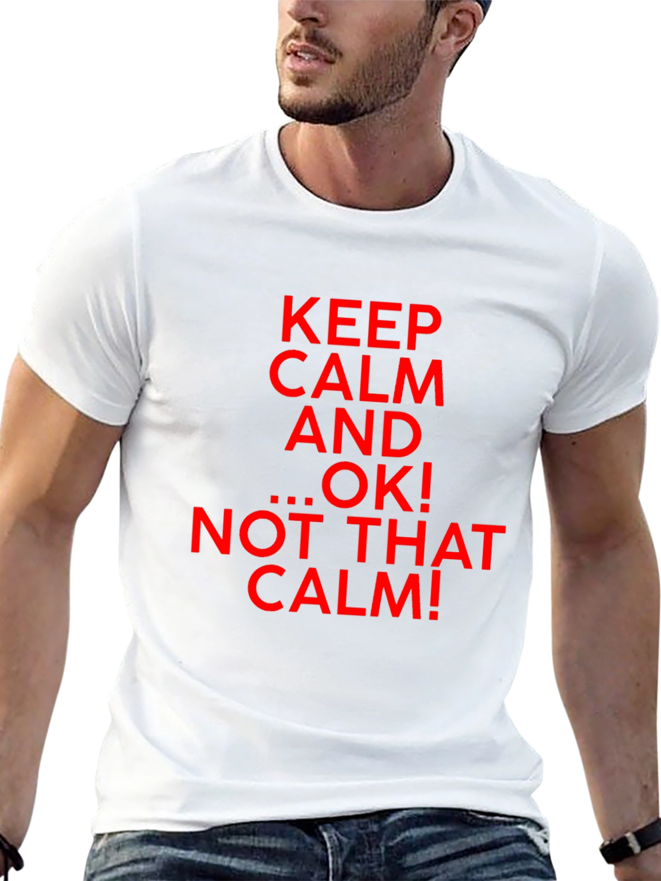 Keep Calm Parody Graphic T-Shirt
