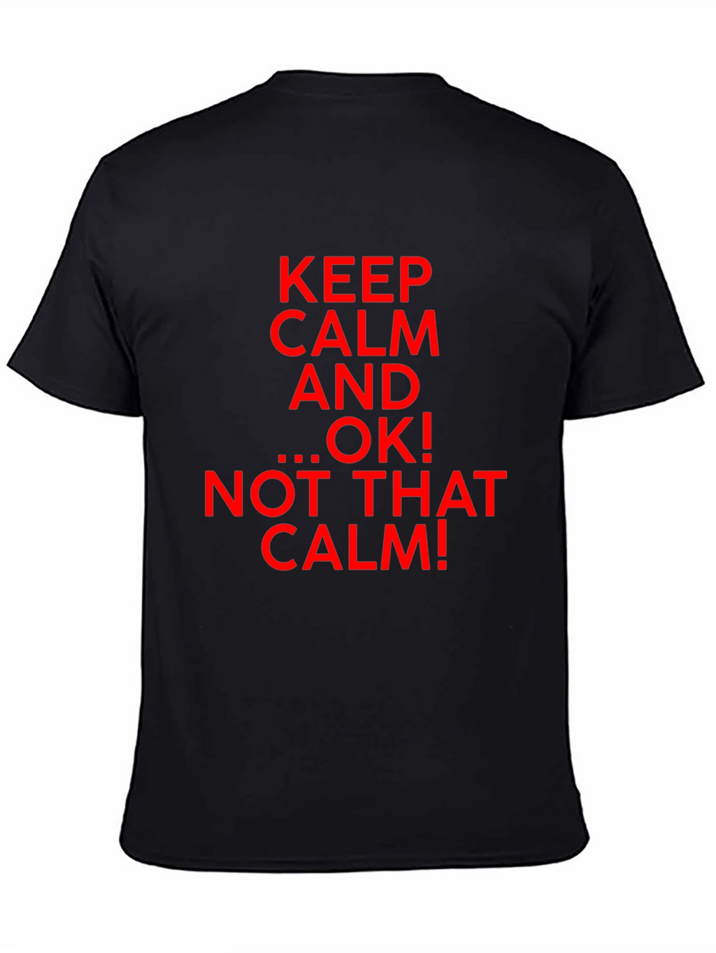 Keep Calm Parody Graphic T-Shirt