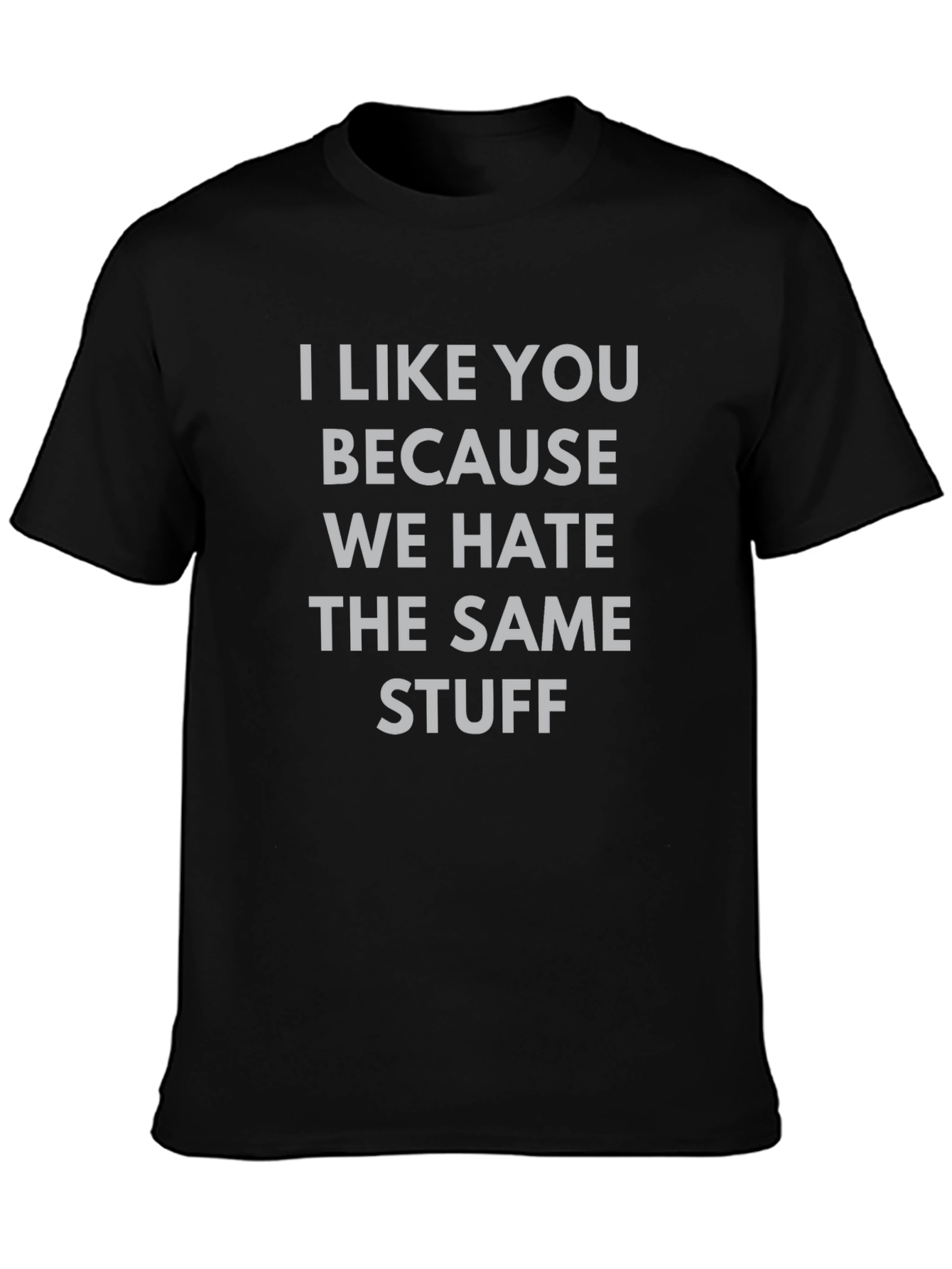 Funny Graphic Tee: I Like You Because We Hate Stuff