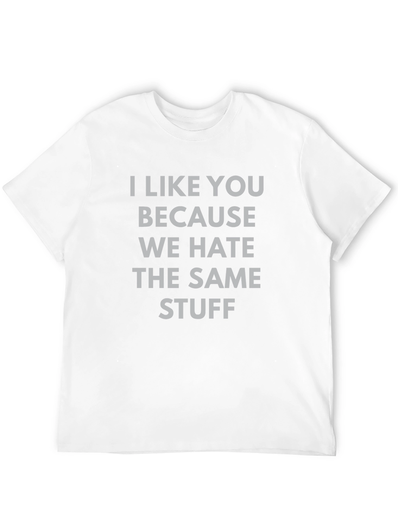 Funny Graphic Tee: I Like You Because We Hate Stuff