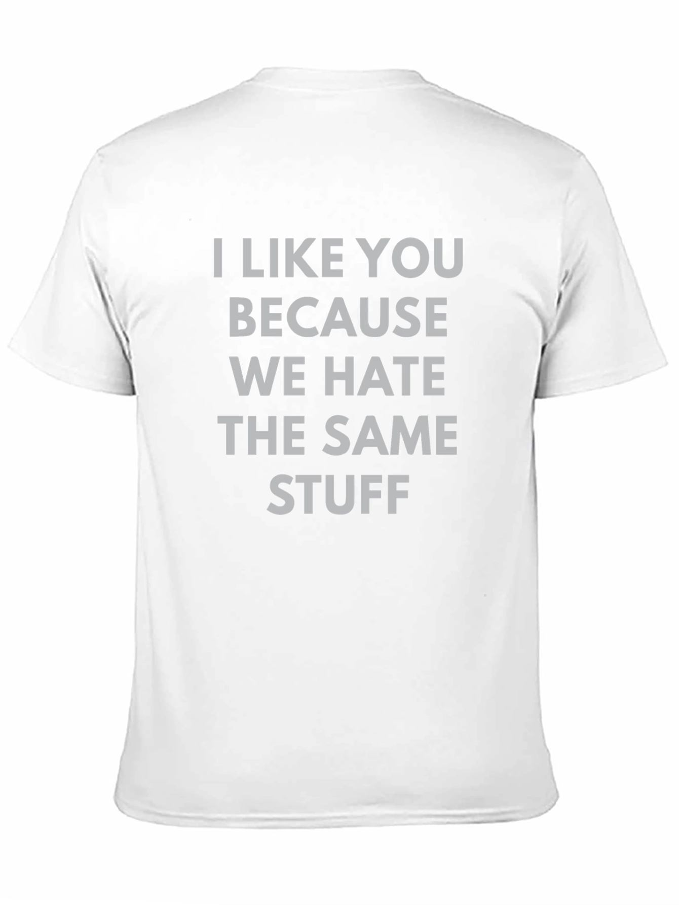 Funny Graphic Tee: I Like You Because We Hate Stuff