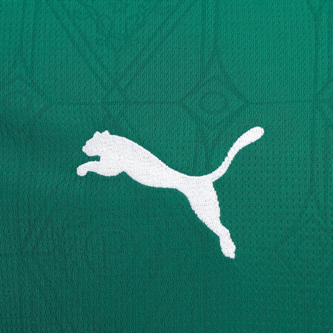 SE Palmeiras Home Jersey 2025