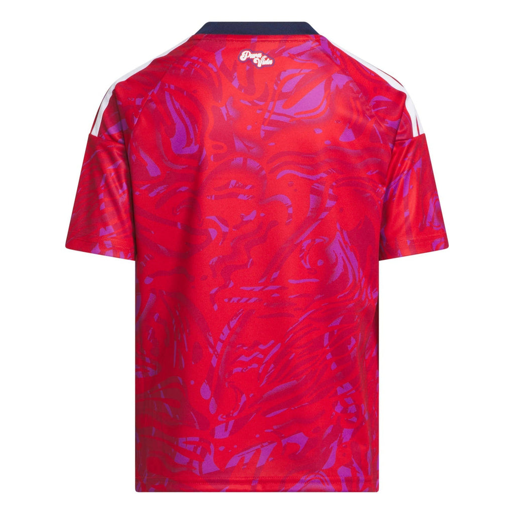 Costa Rica 2026 Home Jersey - Youth (Custom)