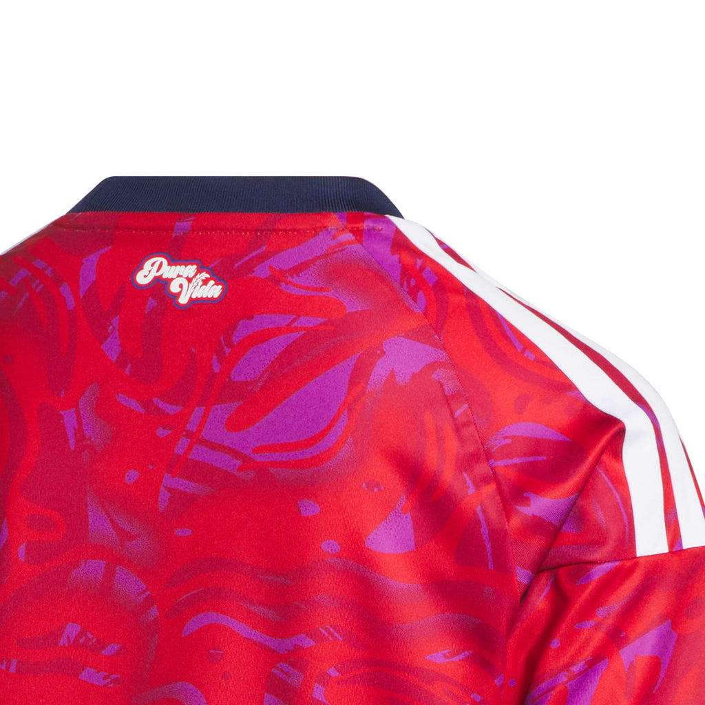 Costa Rica 2026 Home Jersey - Youth (Custom)