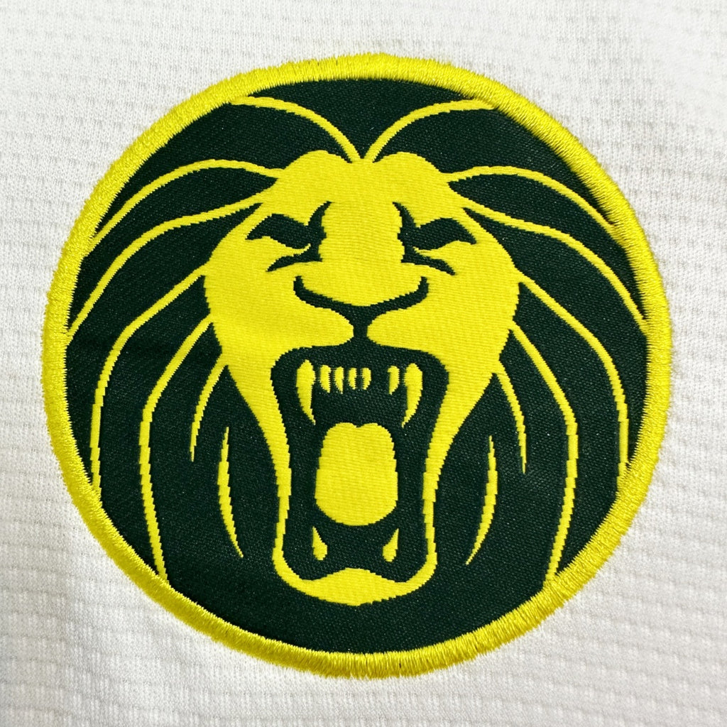 Cameroon Third Jersey 2025