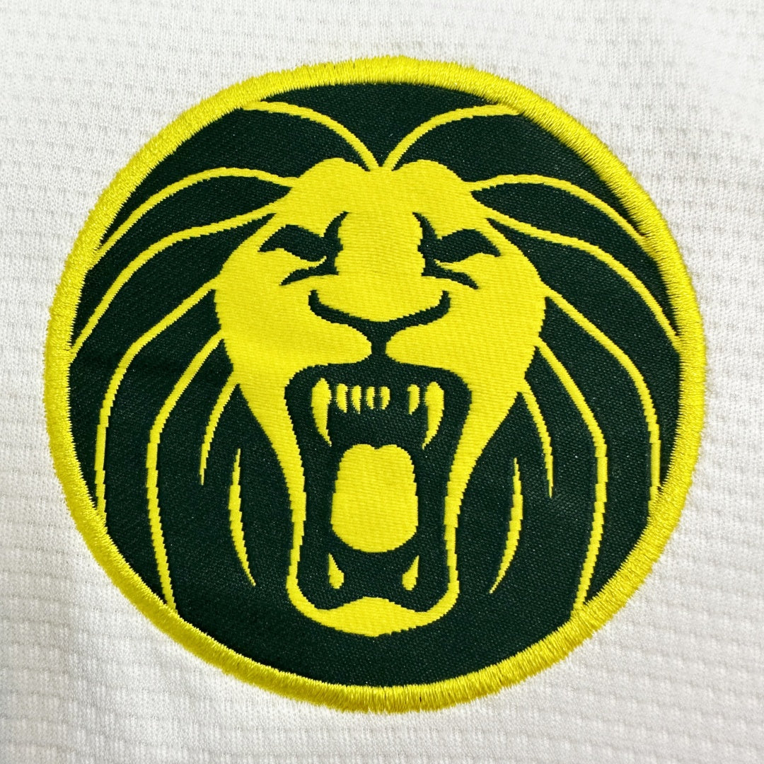 Cameroon Third Jersey 2025