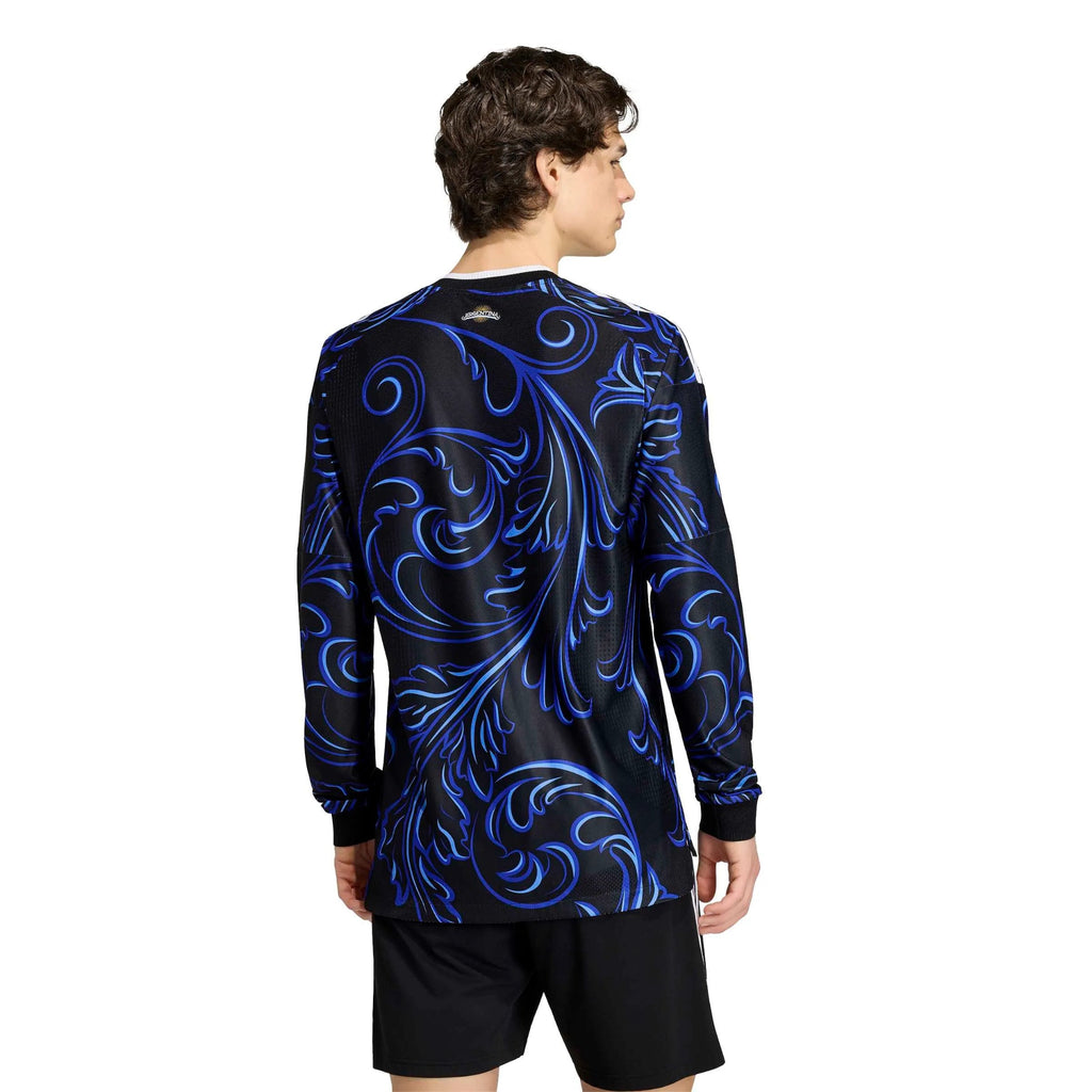 2026 Argentina Men's Authentic Away Long-Sleeve Soccer Jersey （Custom）