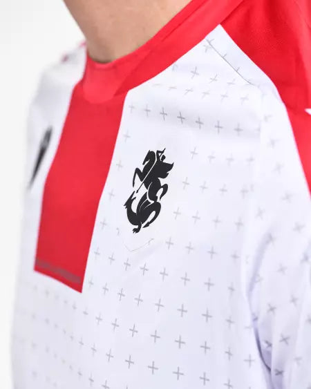 Georgia Home Jersey EURO 2024