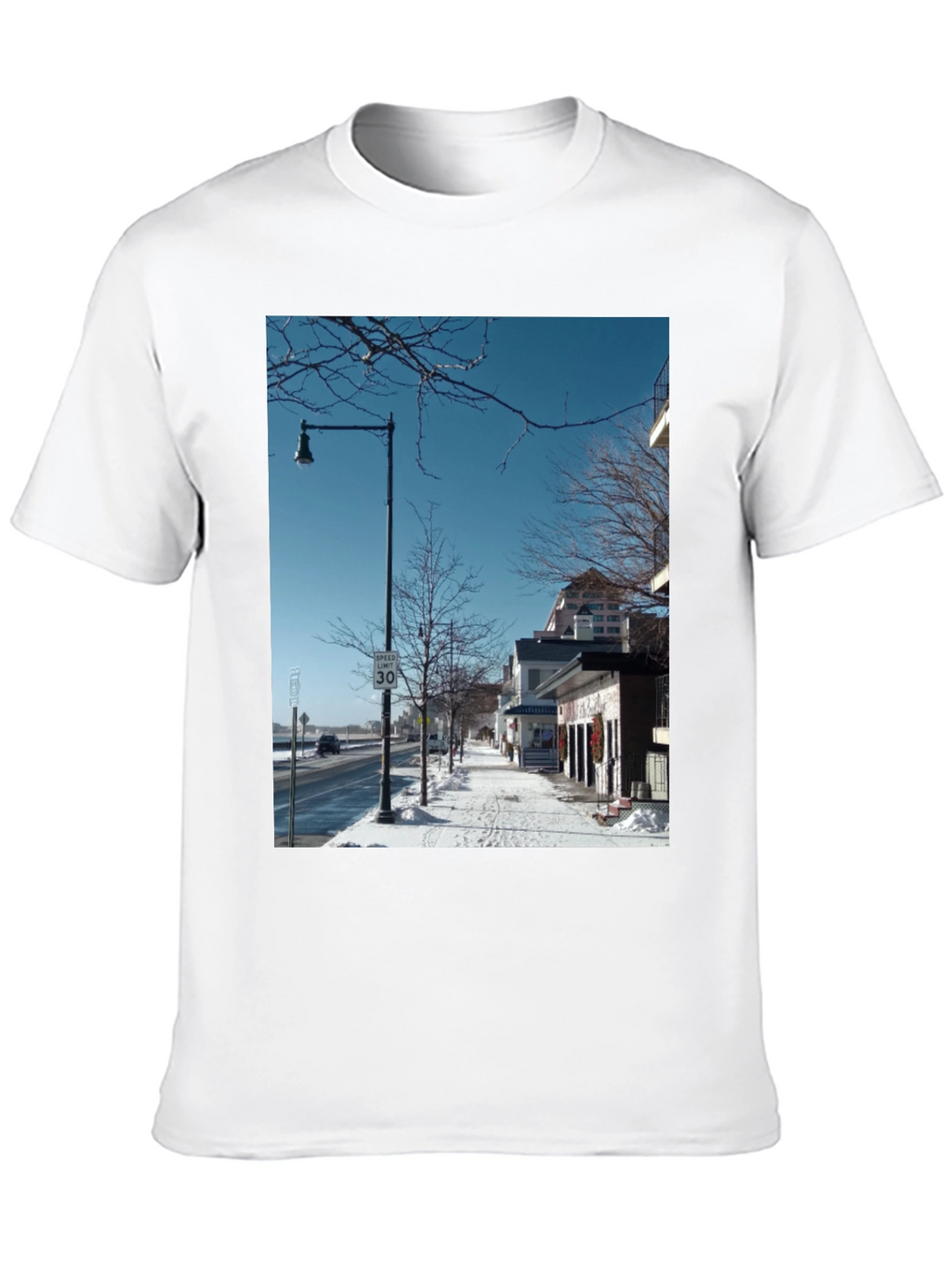 Winter Street Scene Graphic Tee