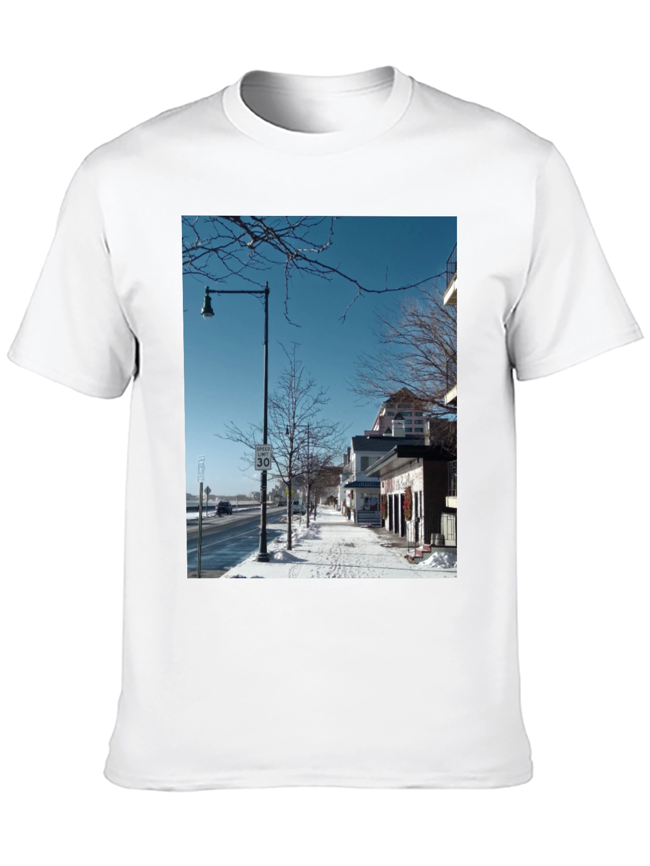 Winter Street Scene Graphic Tee