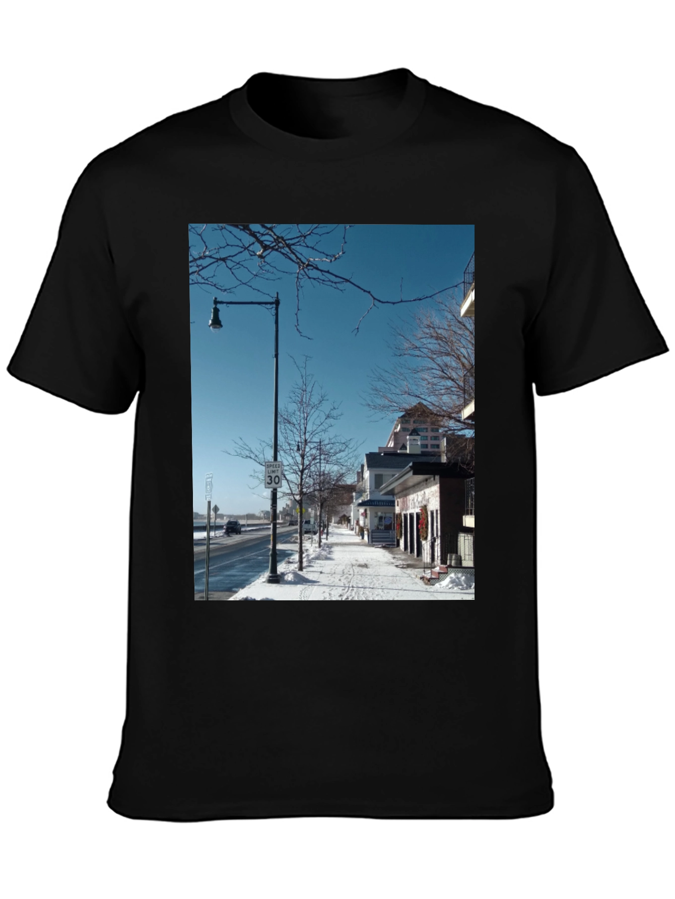 Winter Street Scene Graphic Tee