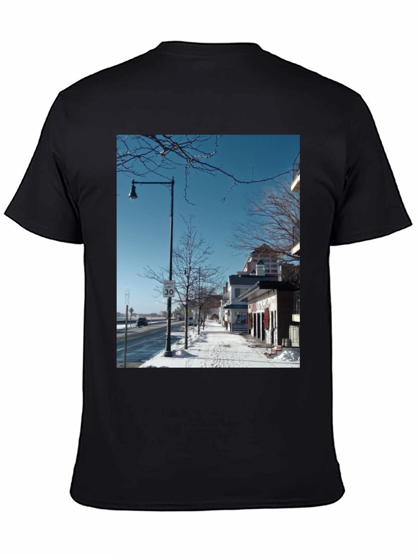 Winter Street Scene Graphic Tee
