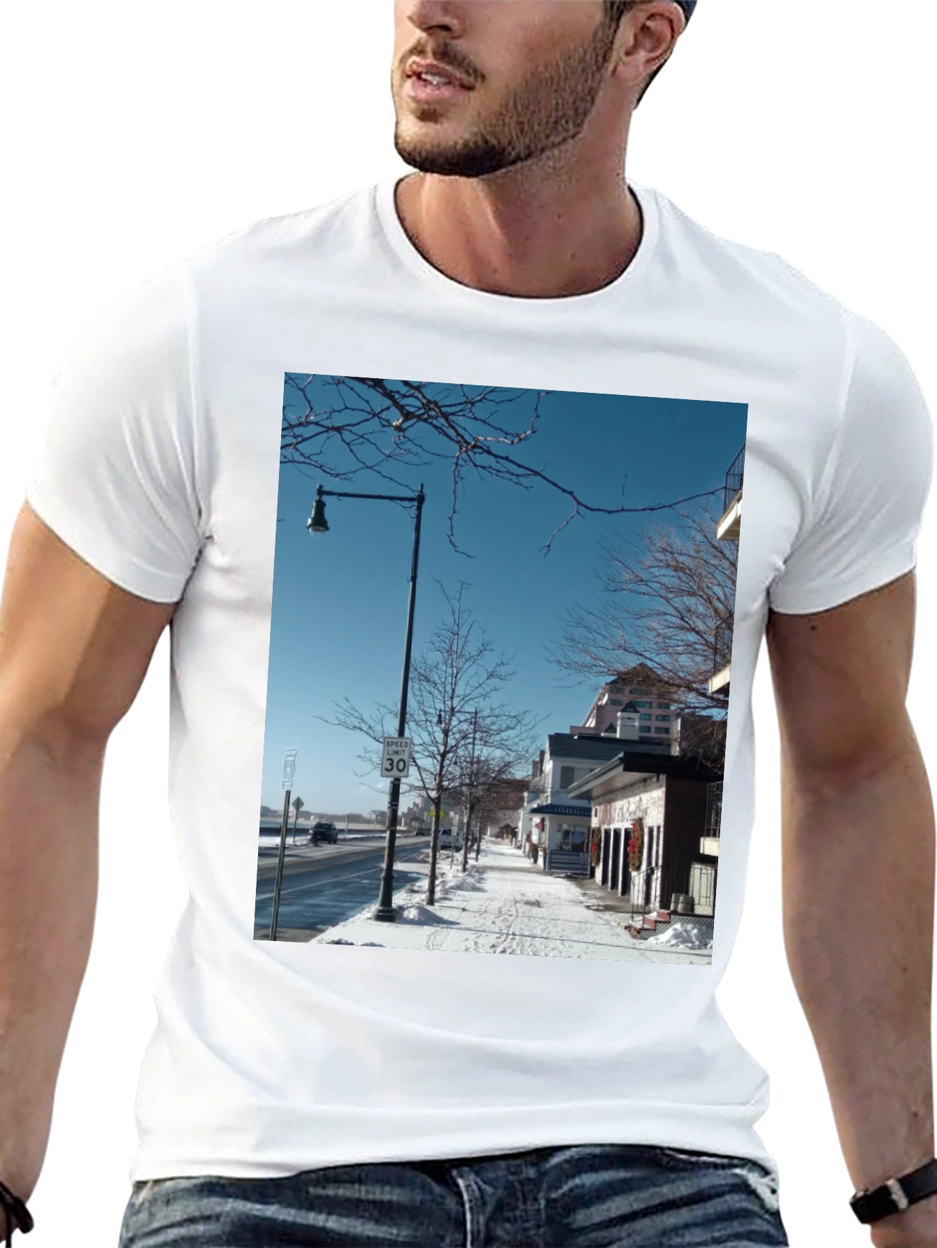 Winter Street Scene Graphic Tee