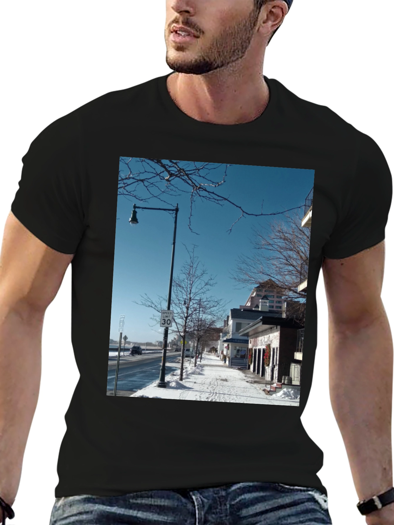 Winter Street Scene Graphic Tee