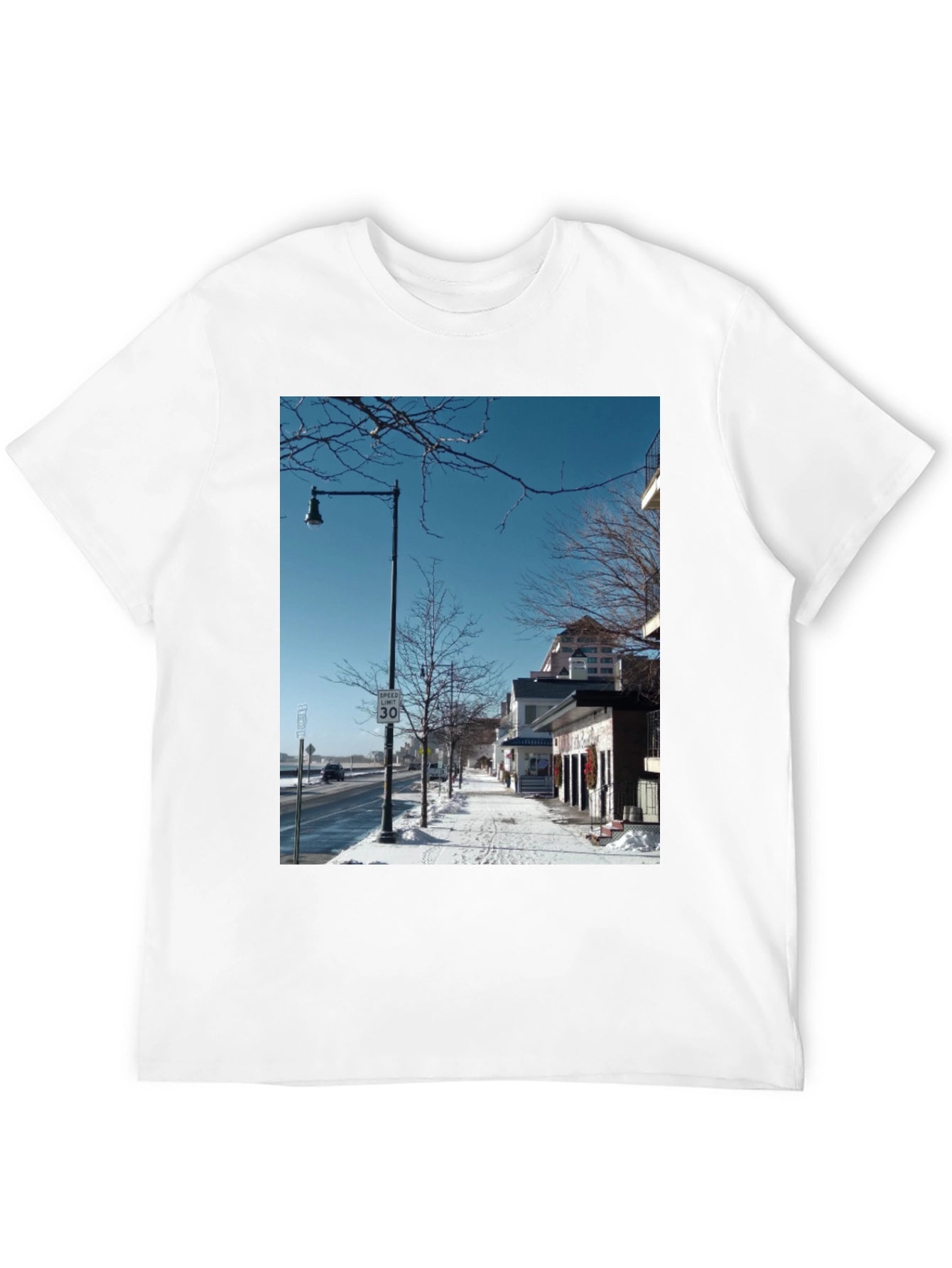 Winter Street Scene Graphic Tee
