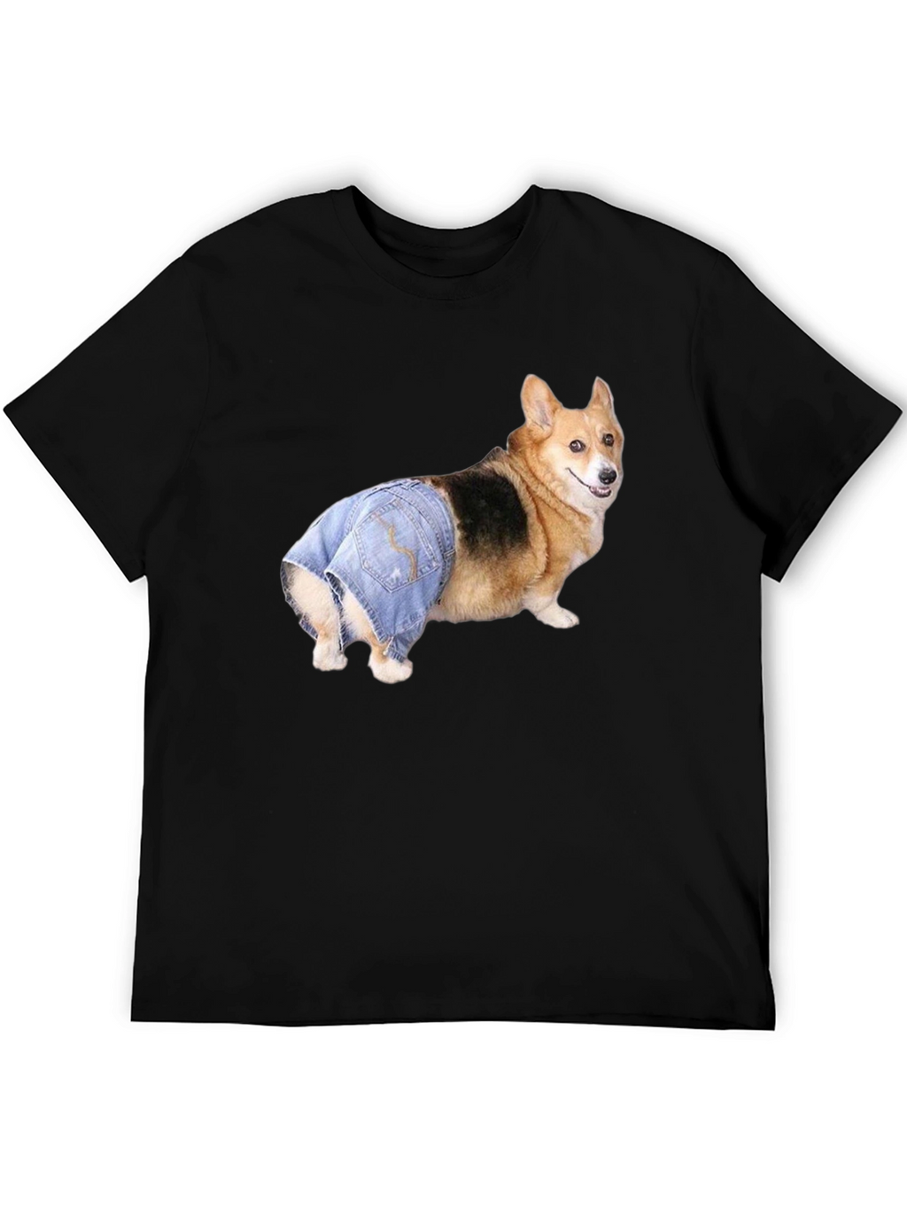 Dog in Jeans T-Shirt
