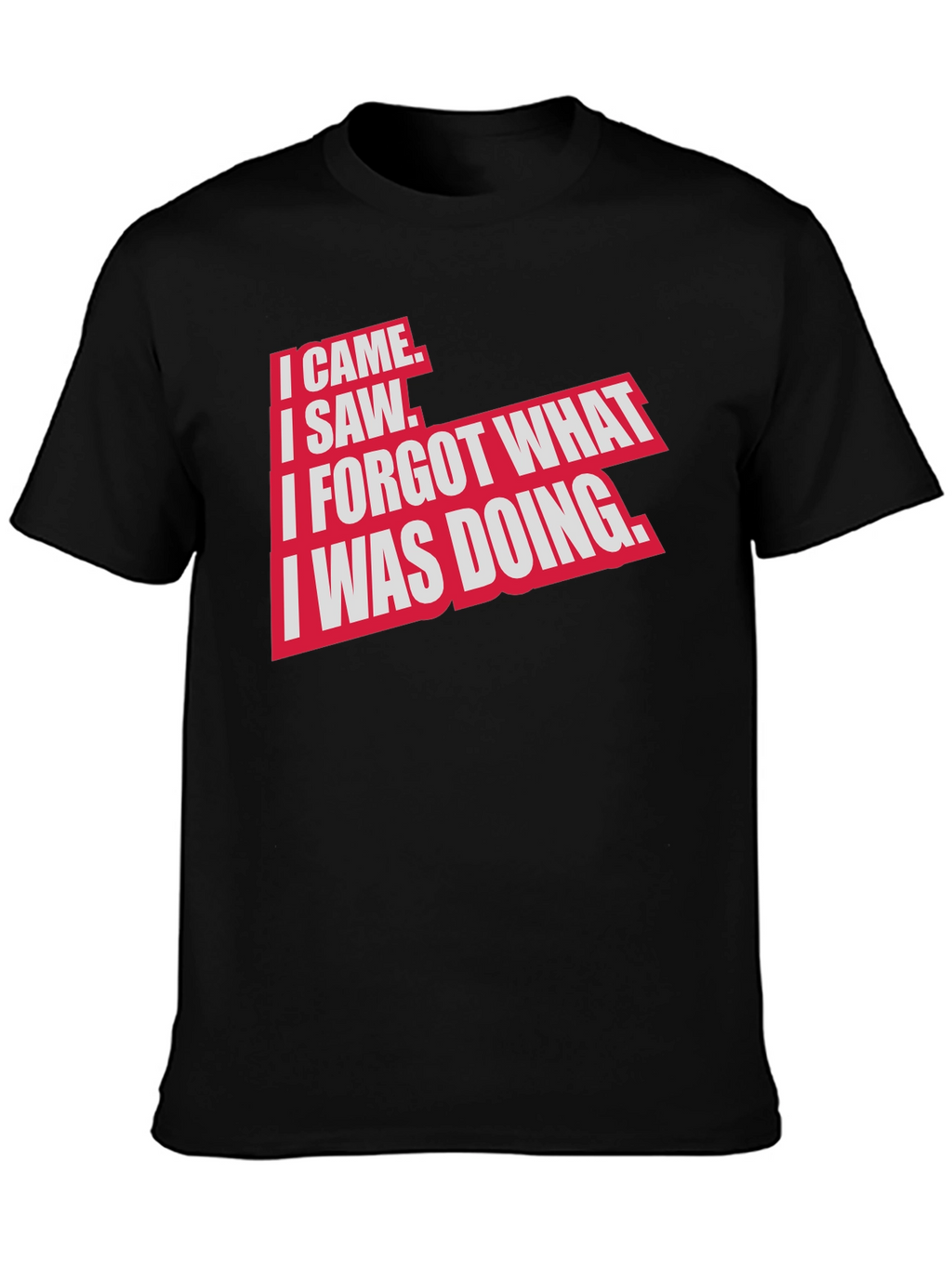 I Came I Saw Funny Graphic T-Shirt