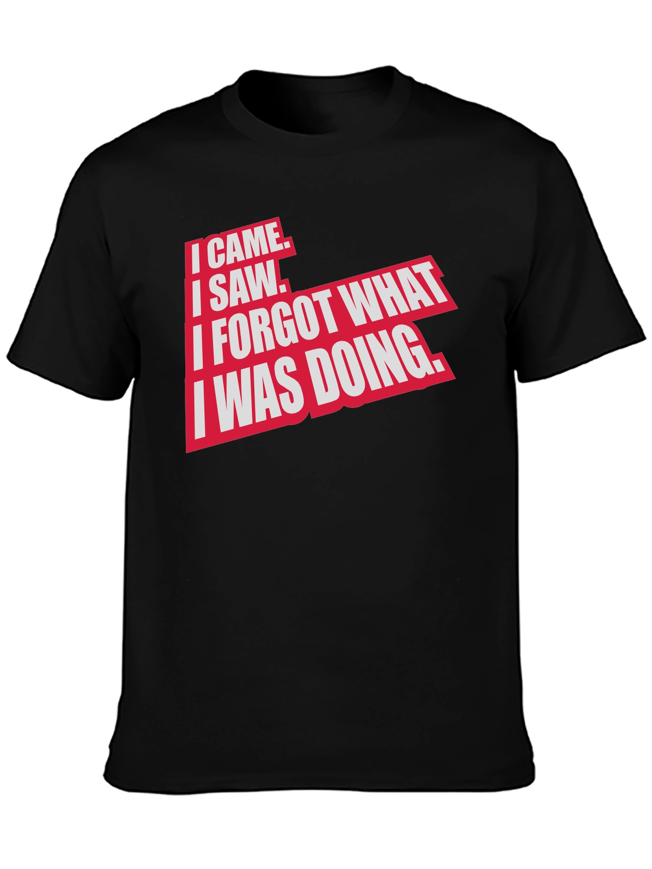I Came I Saw Funny Graphic T-Shirt