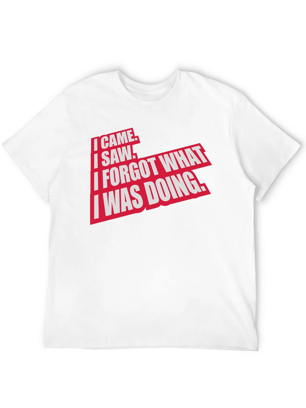 I Came I Saw Funny Graphic T-Shirt