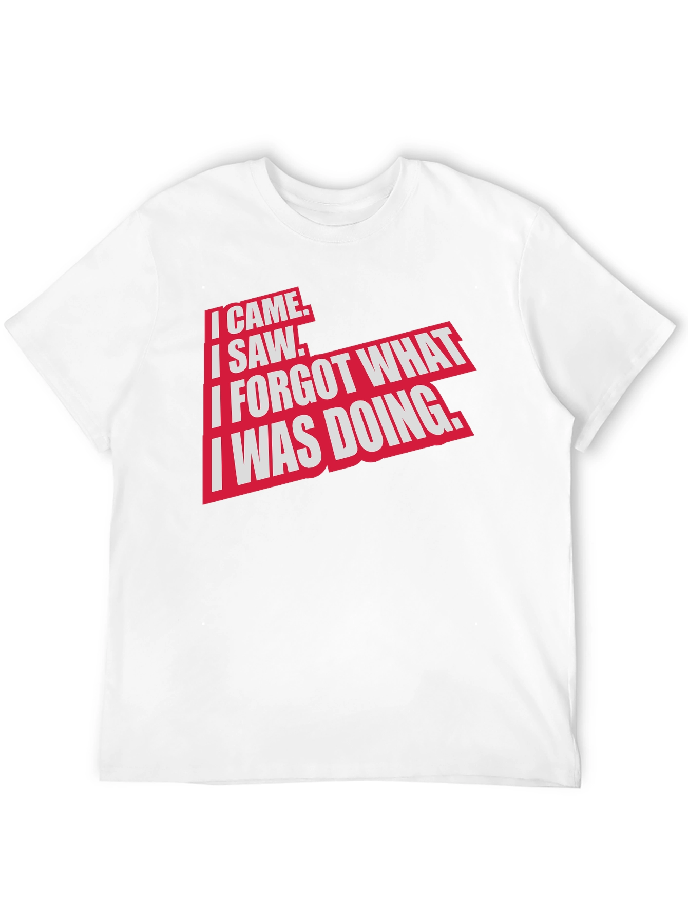 I Came I Saw Funny Graphic T-Shirt