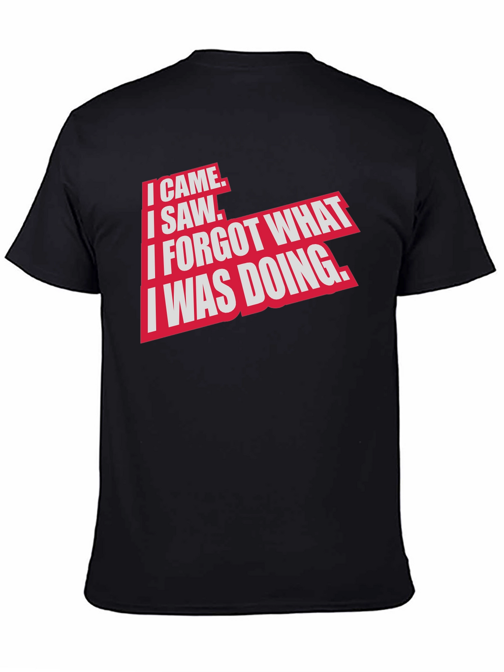 I Came I Saw Funny Graphic T-Shirt