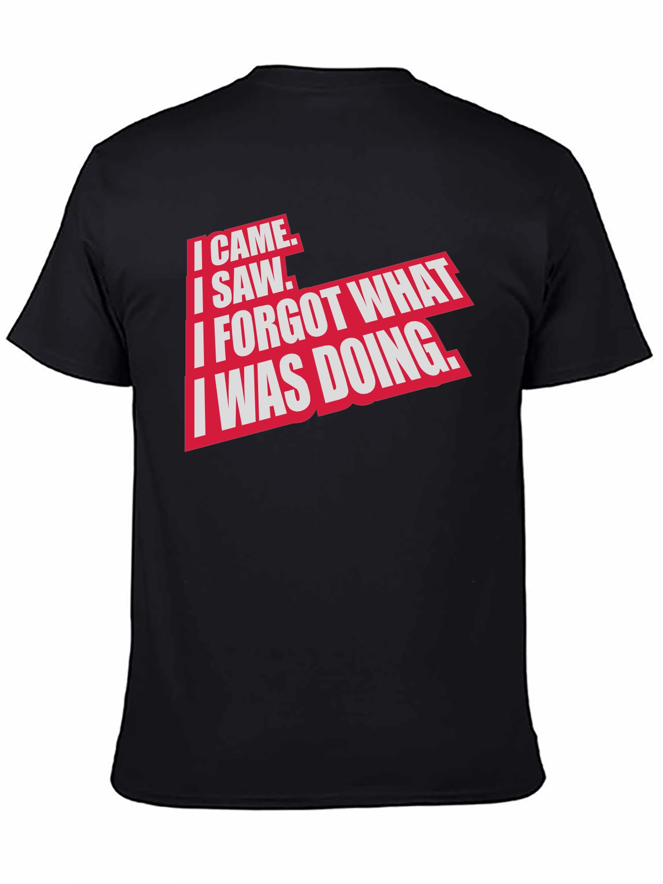 I Came I Saw Funny Graphic T-Shirt
