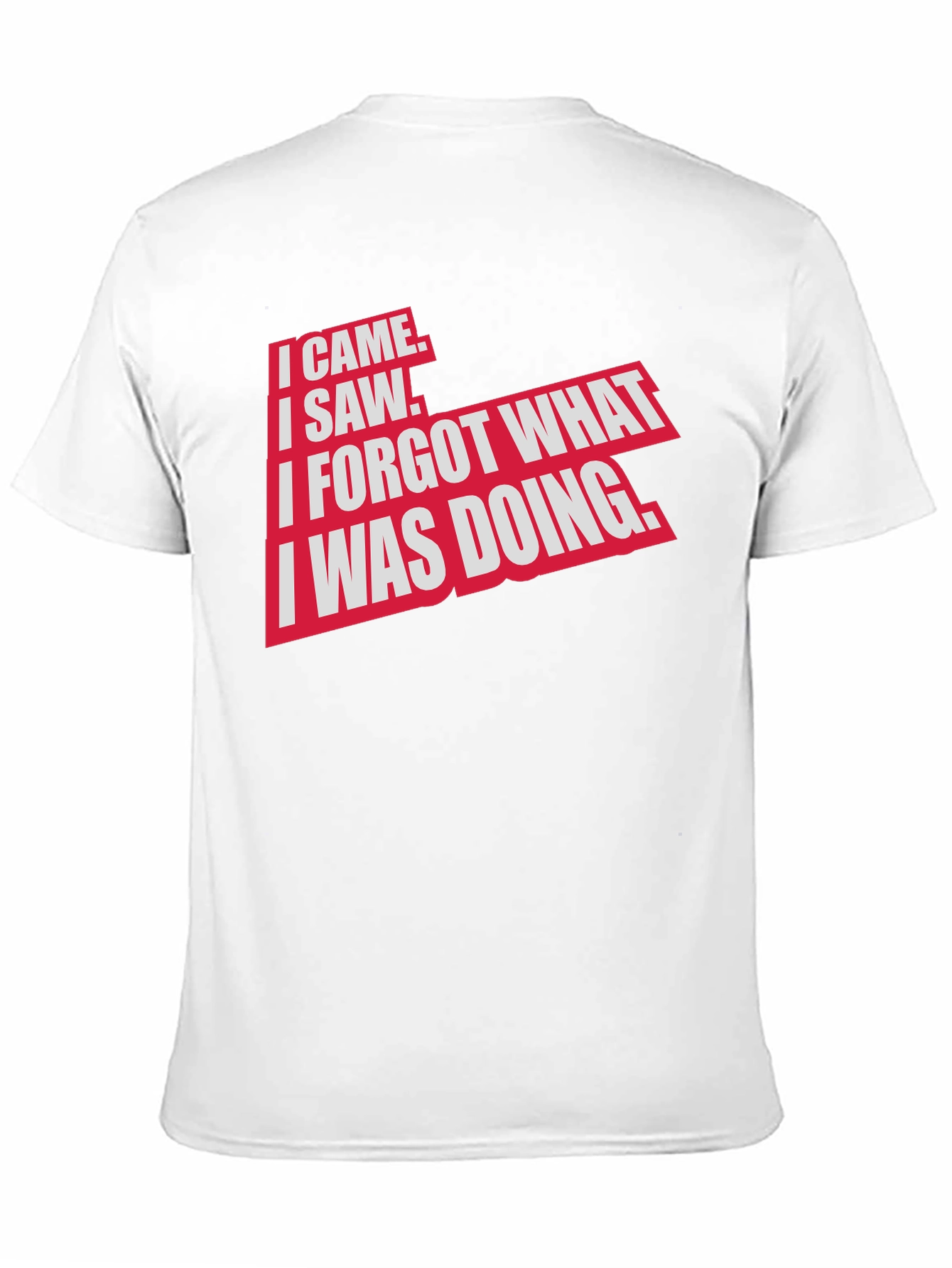 I Came I Saw Funny Graphic T-Shirt