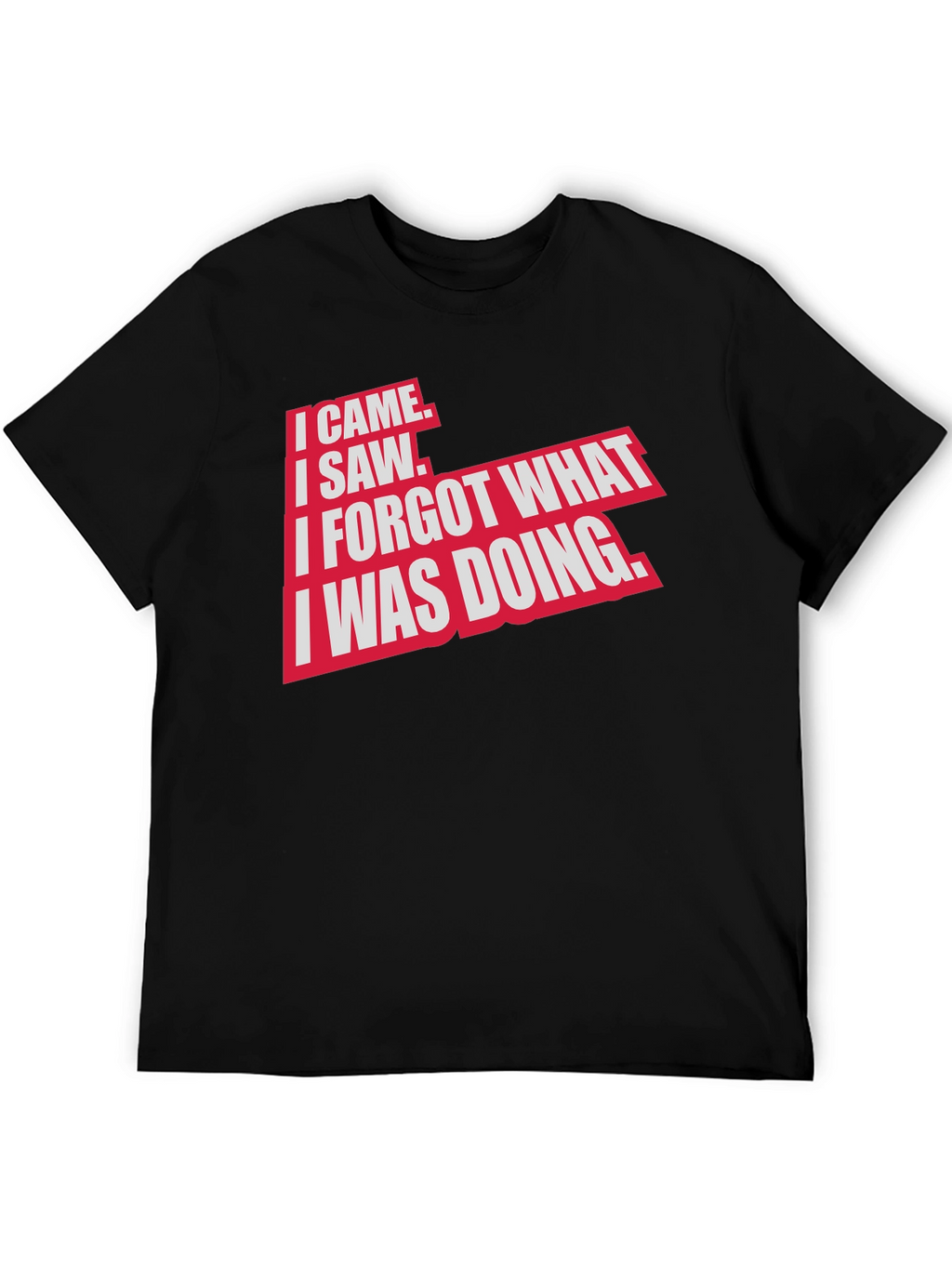 I Came I Saw Funny Graphic T-Shirt