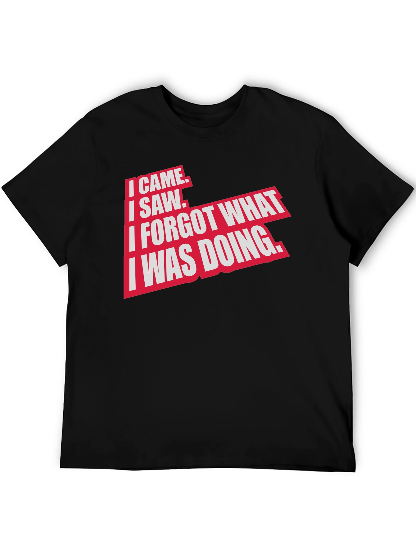 I Came I Saw Funny Graphic T-Shirt